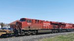 CP 8956